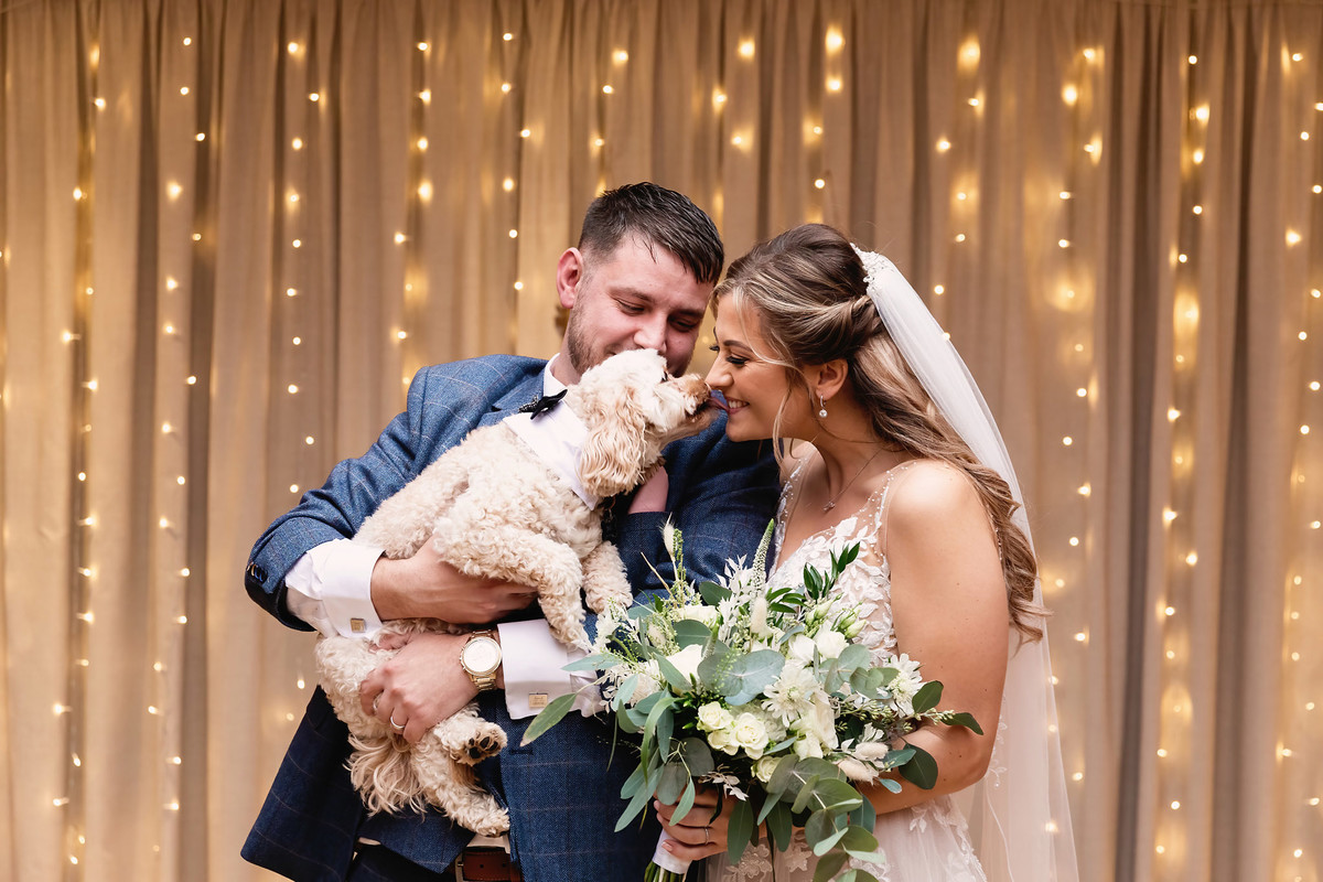 Dog licks brides nose at Moddershall Oaks Wedding