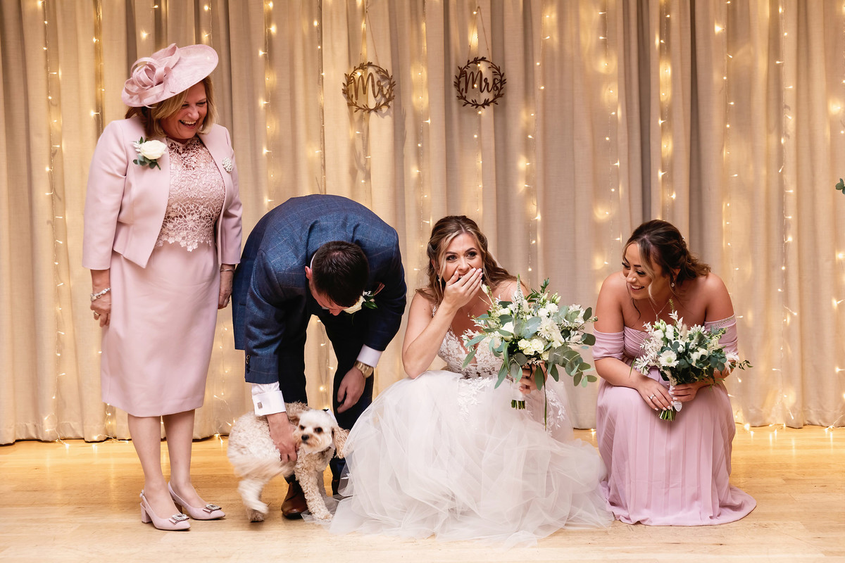 Bride surprised with her dog being brought to her wedding at Moddershall Oaks