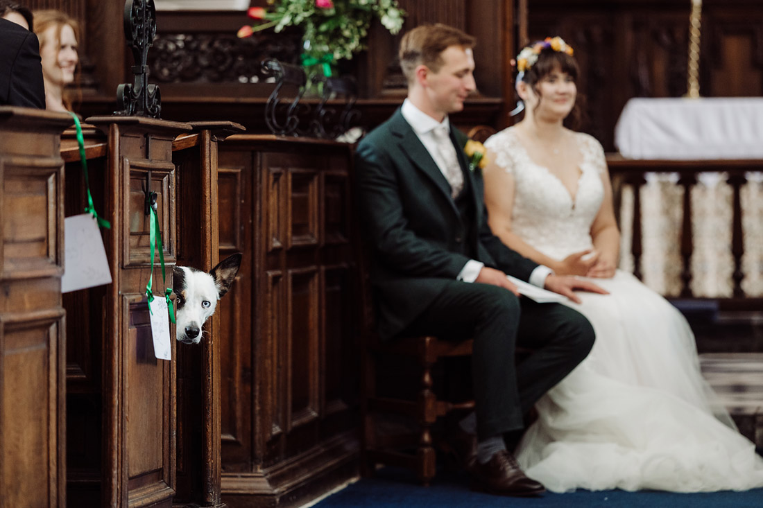 Dog watches mum and dad get married at Ingestre