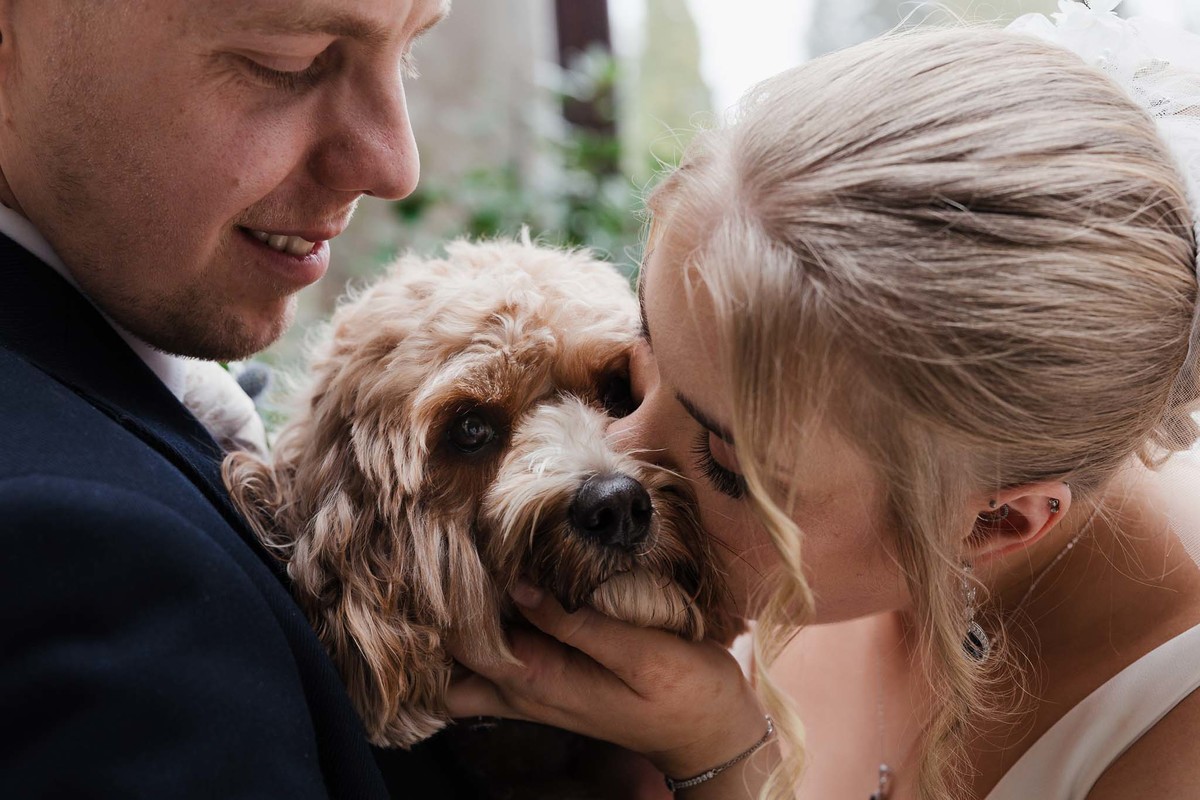 Bride and groom kiss their dog on their wedding day at sandon hall