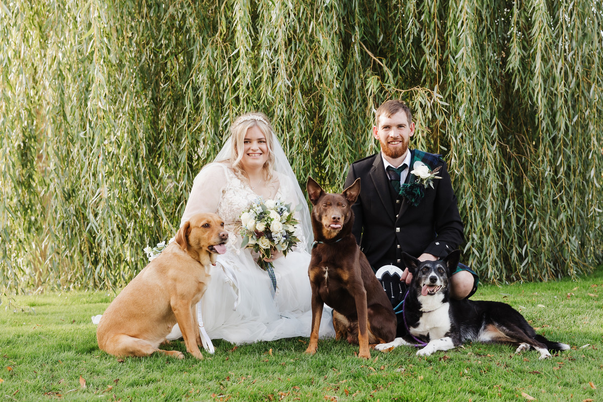 Bride and groom pose with their three dogs at The Moat House, Staffordshire