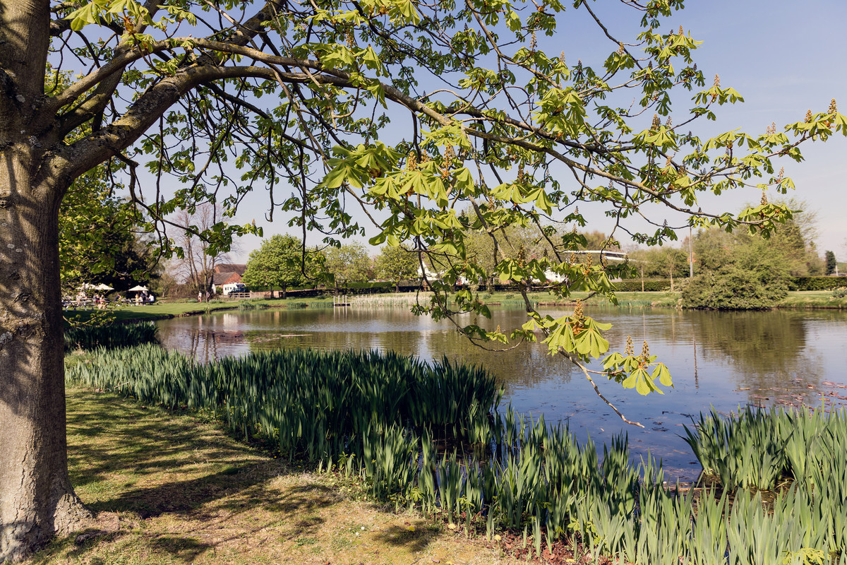 Beautiful grounds surrounding The Moat House