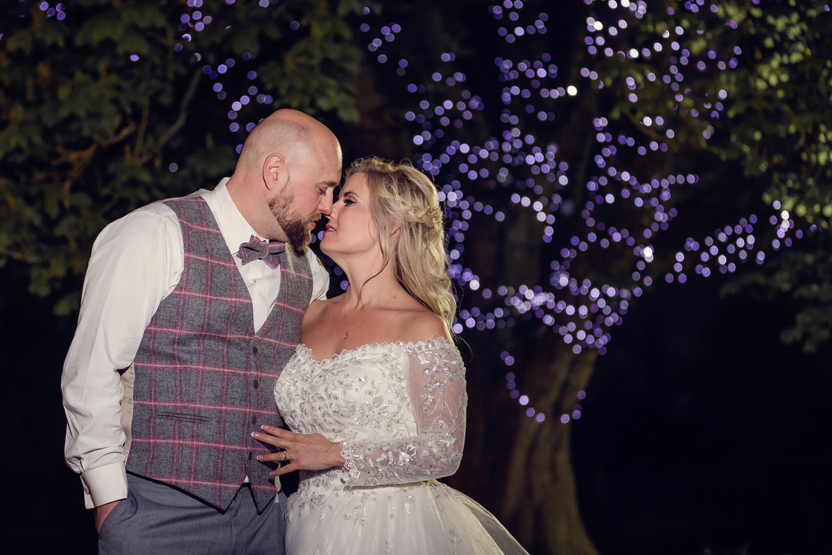 fairylight tree the moathouse Acton Trussell wedding photography