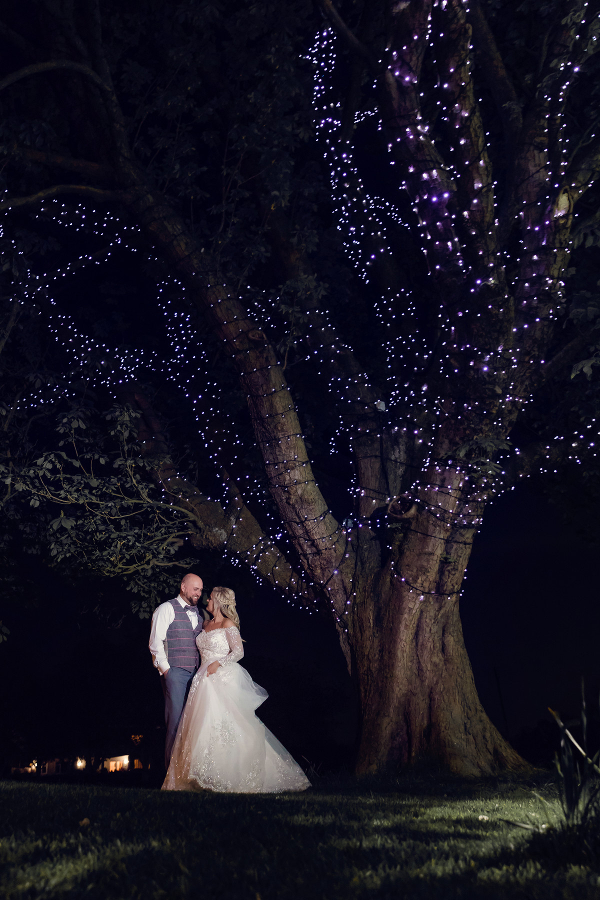 The Tree at The Moat House Acton Trussell