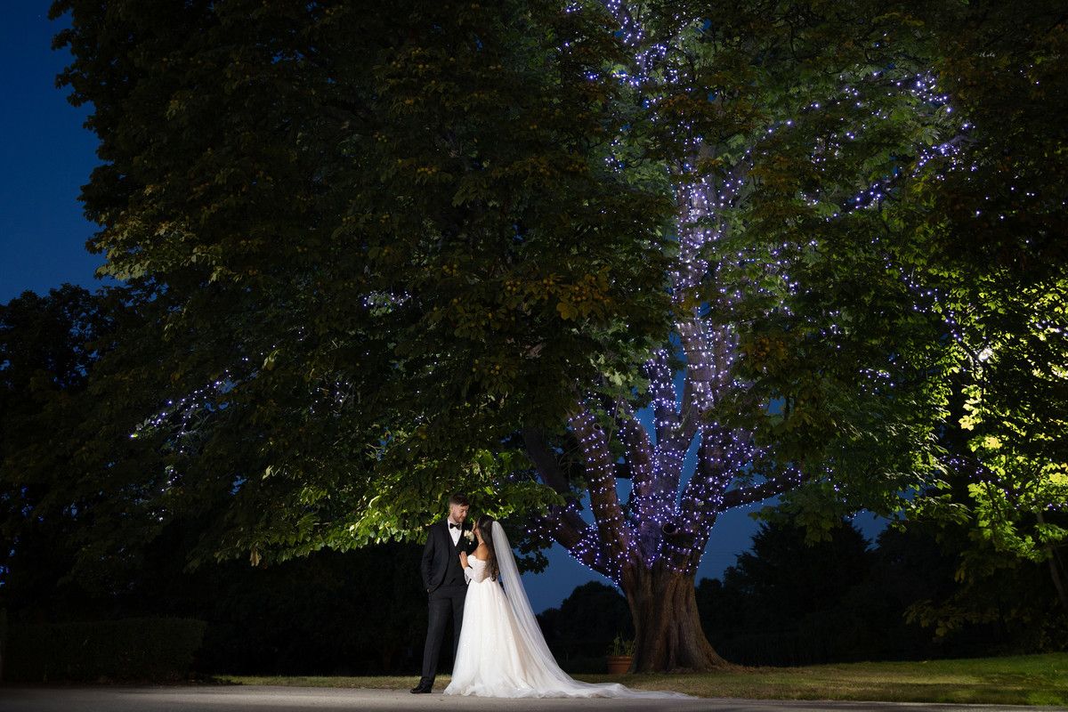 The famous Moat House Tree at The Moat House, Acton Trussell